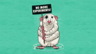arguments contre l'expérimentation animale